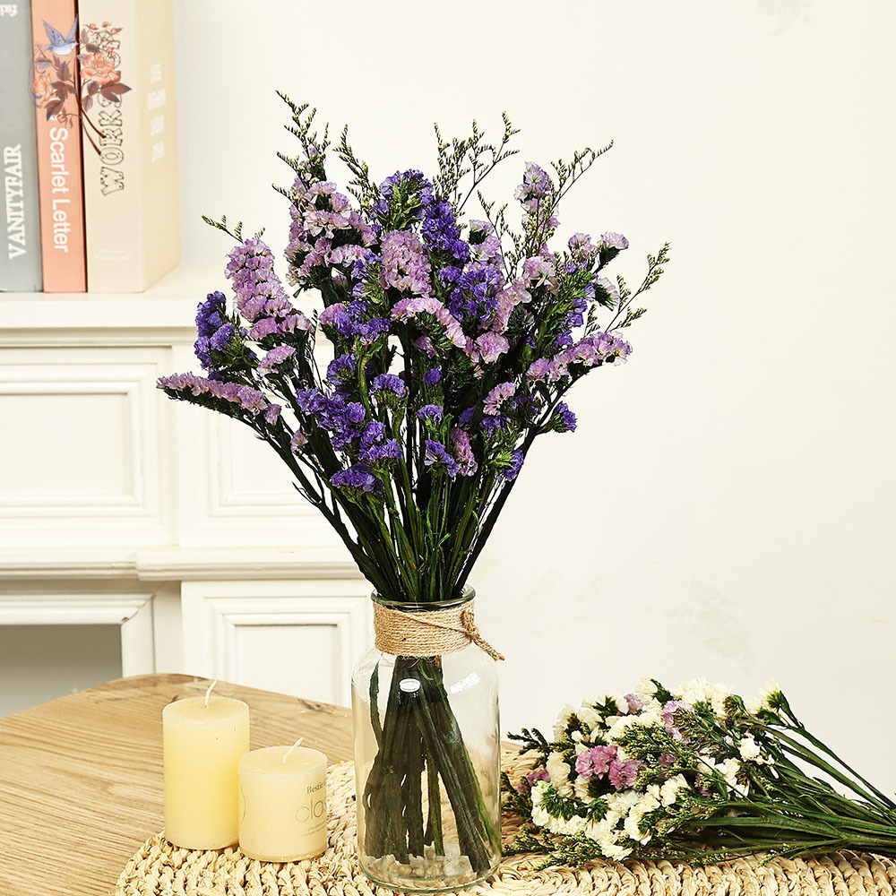 Dried Flower Bulk - 100 g natürliche echte vergissmeinnicht Blumenstrauß-Mix