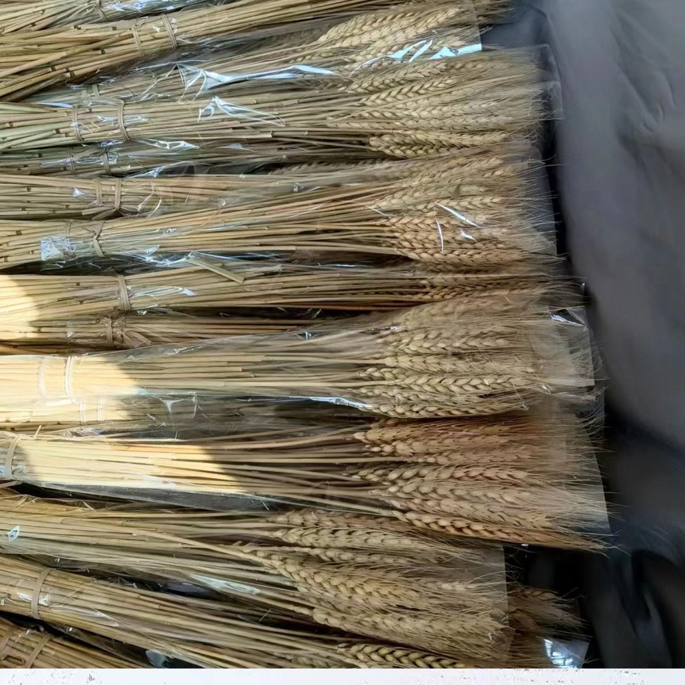 50 Stück Künstliche Blumen Nat – Dried Flower Bulk Bewertung und Preis