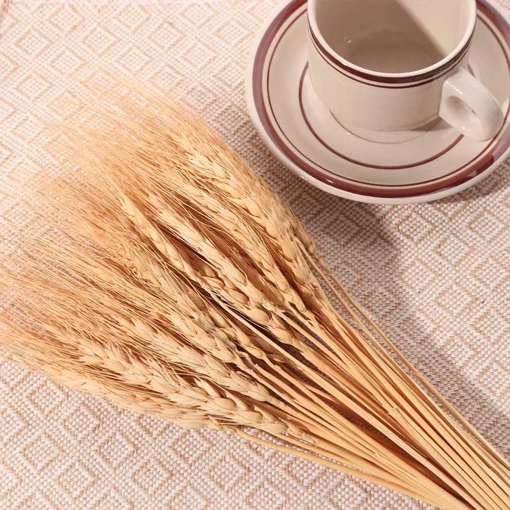 50 Stück Künstliche Blumen Nat – Dried Flower Bulk Bewertung und Preis