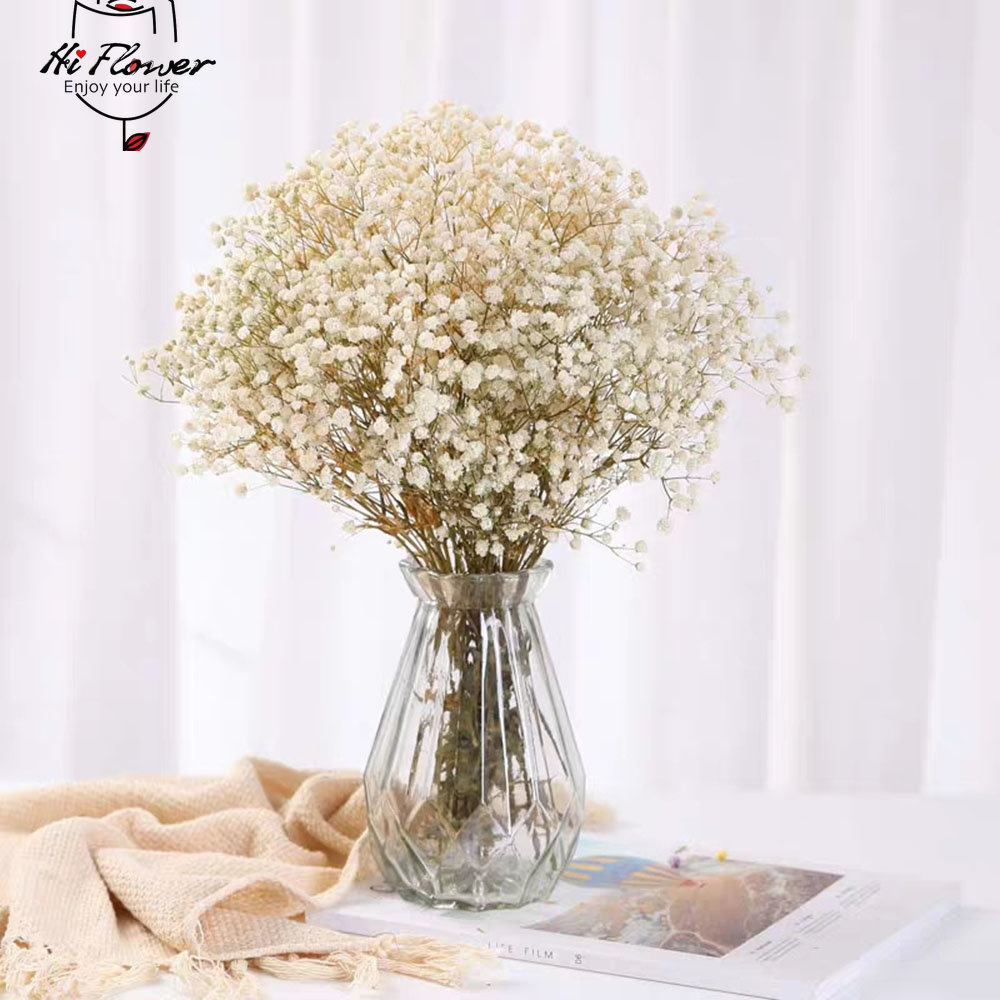 Natürliche getrocknete Blumen, – Dried Flower Bulk Bewertung und Preis