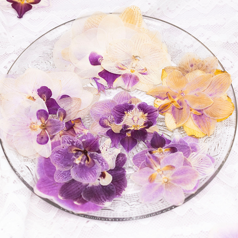 4 Stück Gepresste Getrocknete  – Dried Flower Bulk Bewertung und Preis