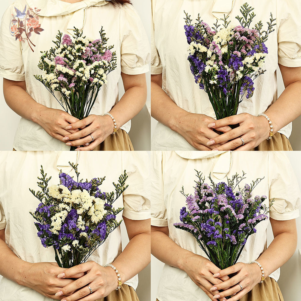 100 g natürliche echte vergiss – Dried Flower Bulk Bewertung und Preis